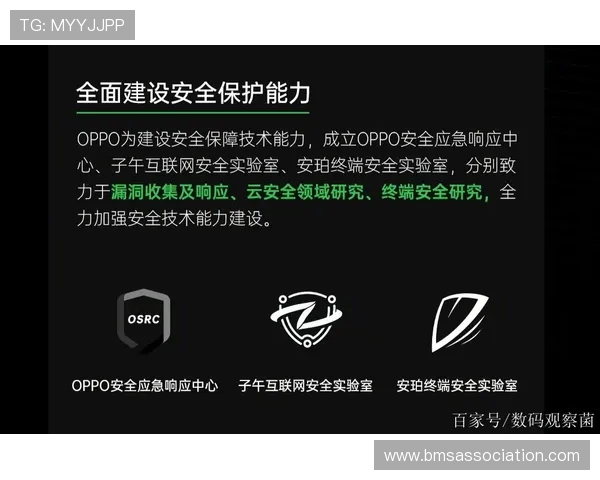 od体育网址安全登录流程，保障用户账号信息安全与隐私保护