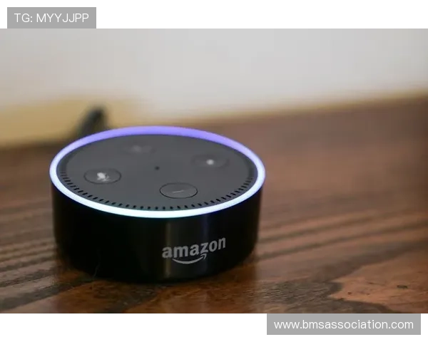 亚马逊线上娱乐助力用户轻松实现家庭娱乐的多样化选择